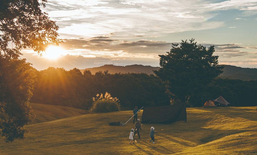 Activities for Kids - Snow Peak