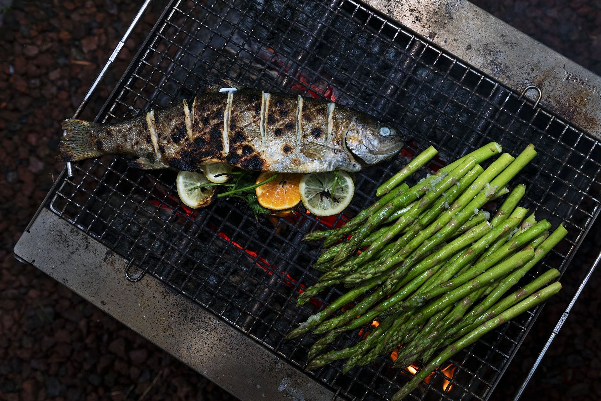 Citrus Grilled Fish - Snow Peak