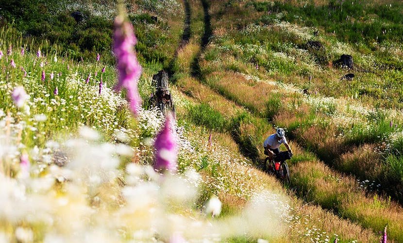 Beat The Heat - Snow Peak