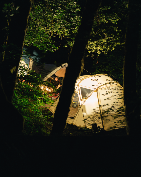Living Shell in Ivory | Snow Peak