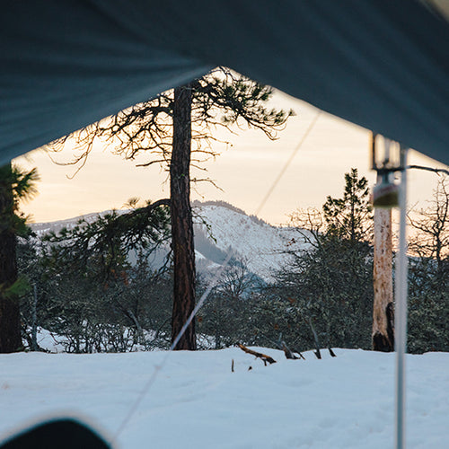 Discover Nearby Nature