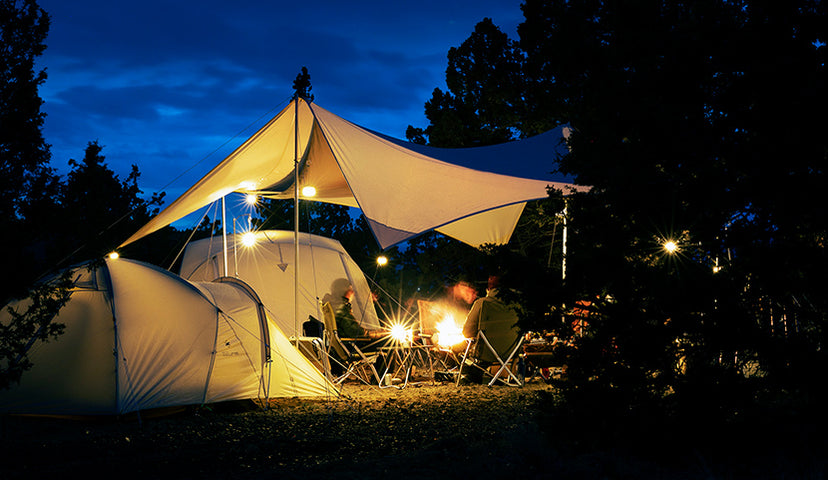 Exclusive Content: First Access to Entry Line in Ivory