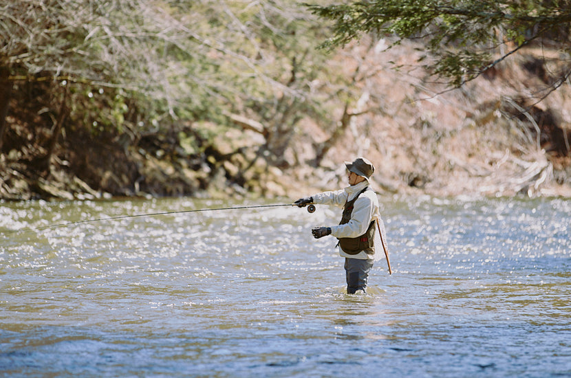 Fly Fishing Upstate