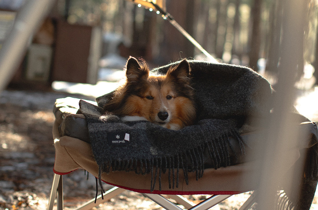 Winter Camp with Jin L. | Snow Peak
