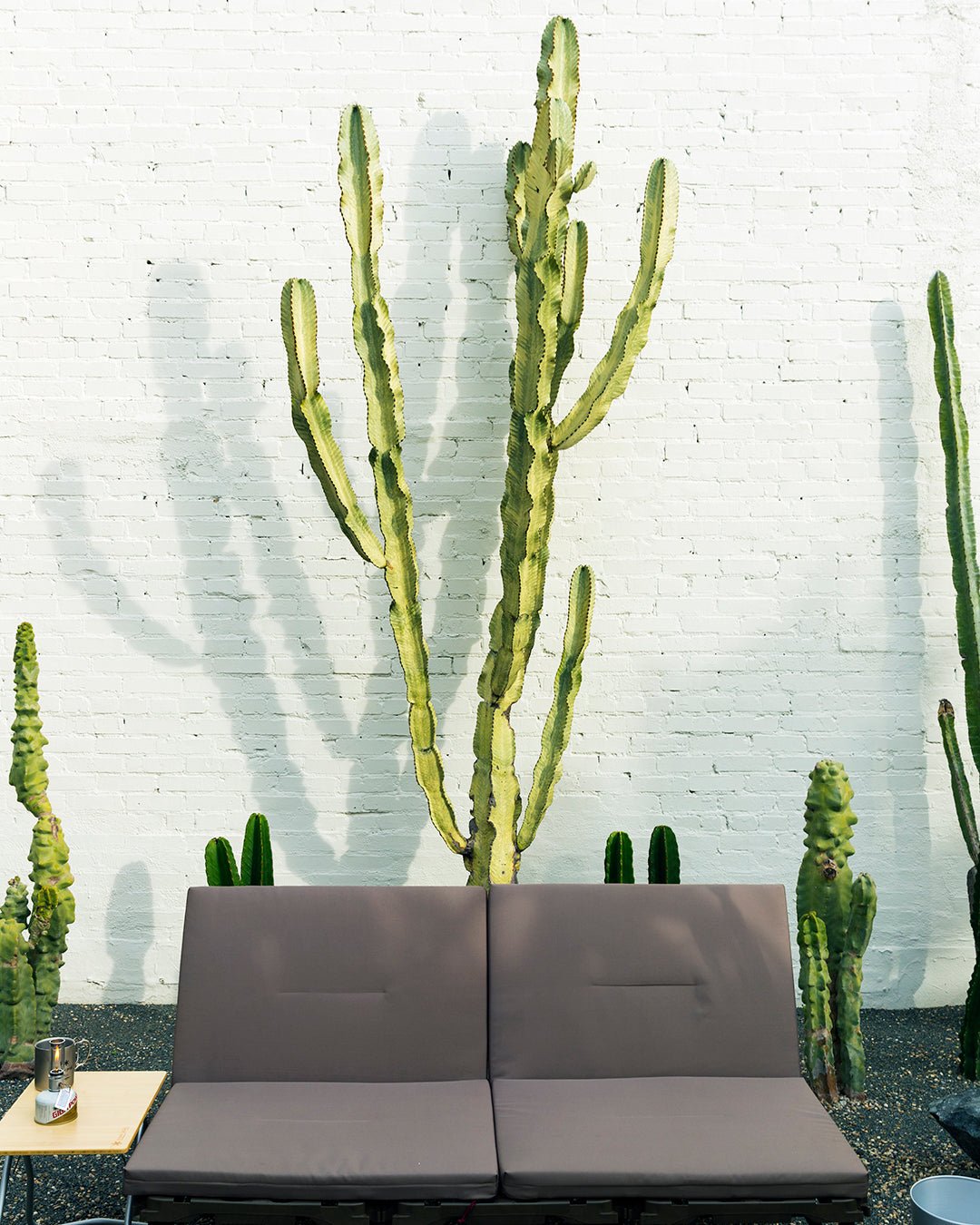 Camping in Cactus Garden - Snow Peak