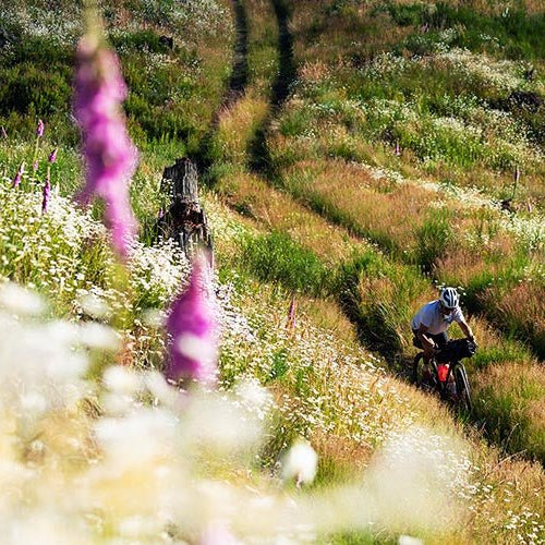 Beat The Heat - Snow Peak