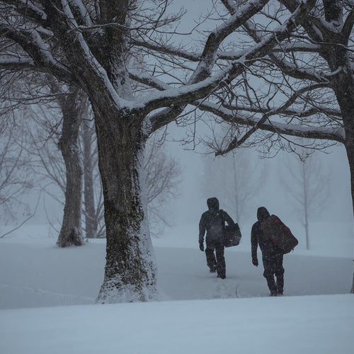 Niigata Headquarters - Snow Peak