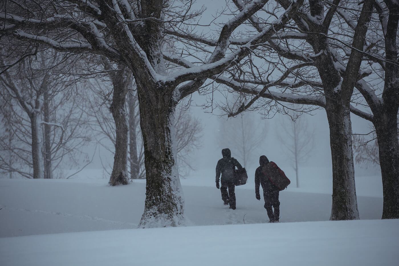 Niigata Headquarters - Snow Peak