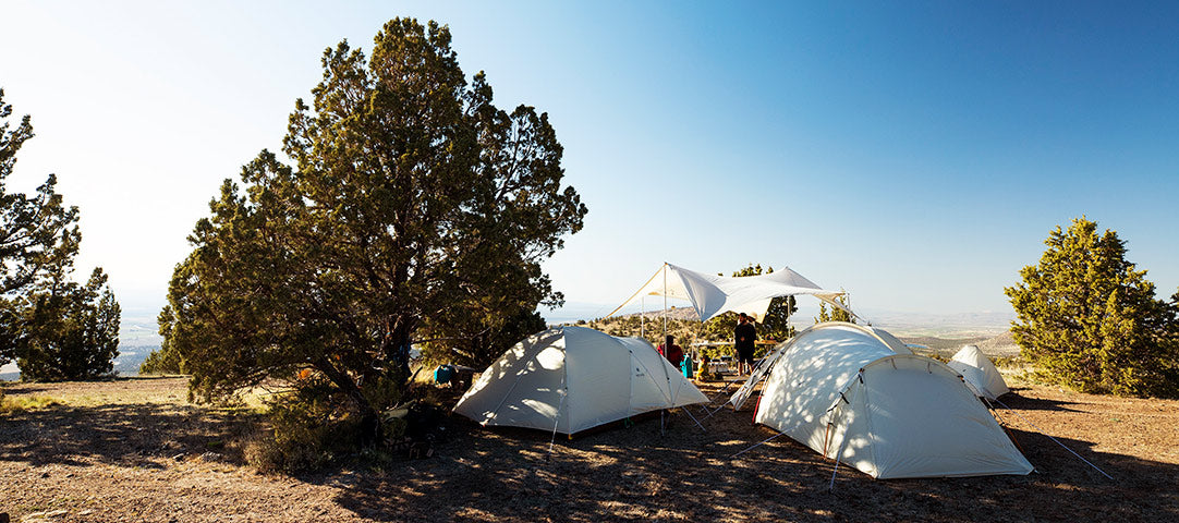 2-4 Person Tents