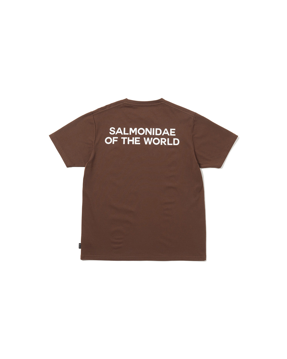 peak TENUGUI T-SHIRTS 山脈プリント peak TENUGUI T-SHIRTS 山脈