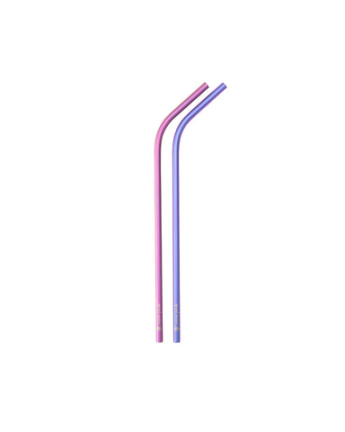 Titanium Straw 2-Piece Set in Pink & Purple