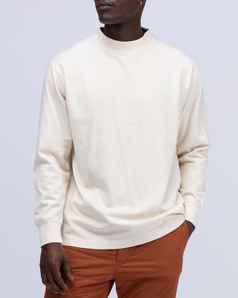 AE Long Sleeve Mock Neck T-Shirt curated on LTK